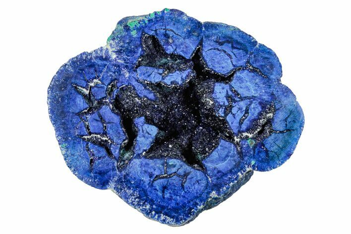 Vivid Blue, Cut/Polished Azurite & Malachite Nodule - Siberia #335246